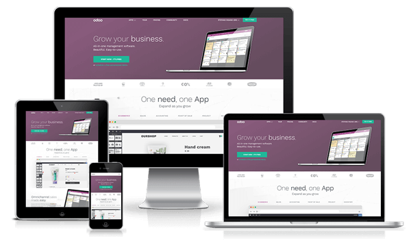 Odoo ERP